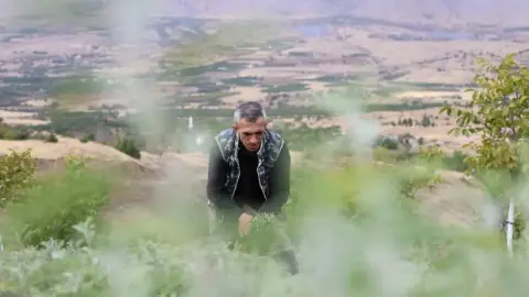 Beş dönümlük dağlık araziyi, tıbbi aromatik bitki bahçesine çevirdi