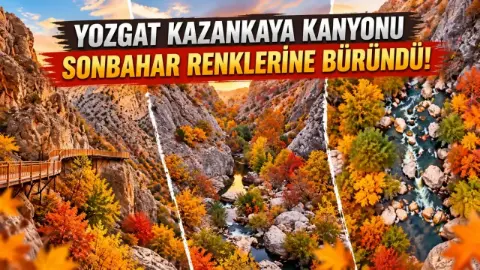 Yozgat’ın Sonbahar Güzelliği Büyülüyor! Kazankaya Kanyonu Renk Cümbüşüne Büründü