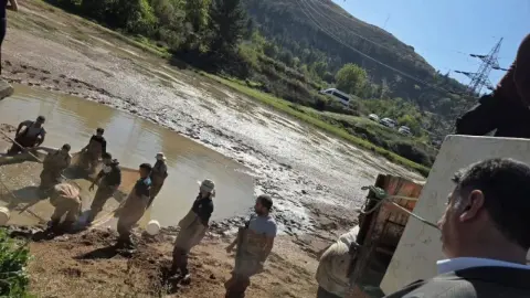 Sazanlar Hasat Edildi!
