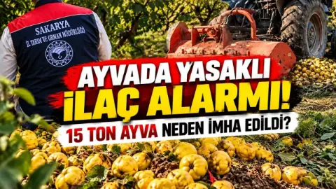 Yasaklı ilaç tespit edildi: 15 ton ayva imha edildi
