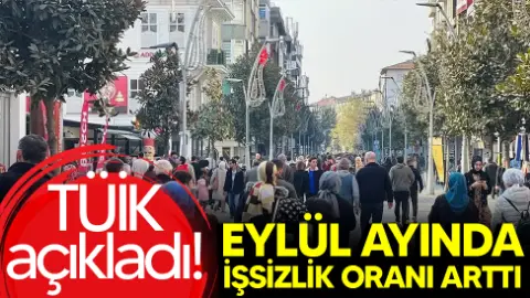 Eylül ayında işsizlik oranı yüzde 8,4 oldu
