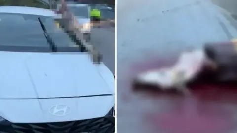 İstanbul’da korkunç kaza: Atın kopan bacağı otomobile saplandı