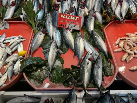 İzmit Balıkhan'da Palamut Dönemi Kapanıyor: Yeni Gözde Lüfer