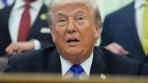 Trump için geri sayım başladı: ABD'de ara seçimler neden kritik?