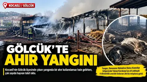 Ahır yangını! 34 hayvan telef oldu