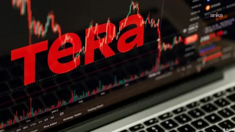 Türkiye Sigorta ve Hayat Emeklilik Tera'ya ne kadar para yatırdı?