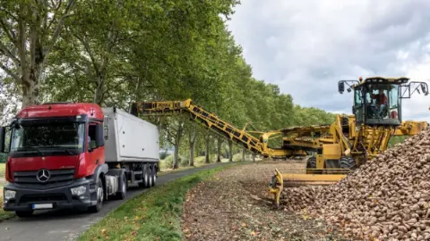 Susurluk Şeker Fabrikası'na 100 bin ton pancar taşınacağı bildirildi