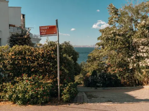 Döviz kurları çevirici ile güncel dönüşümün güvenilir yolu