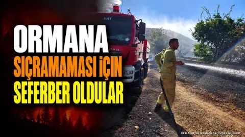 Isparta Senirkent'te Yangın: Alevler Ormana Sıçramadan Söndürüldü