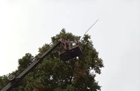 Doski Vadisi'nde Asırlık Cevizler Vinç Yardımıyla Hasat Ediliyor