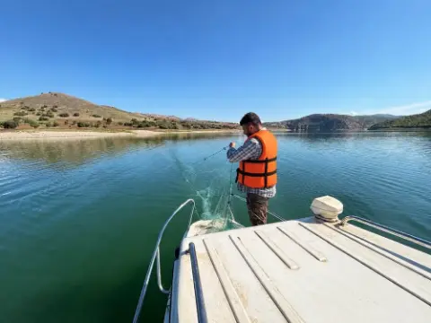 Elazığ'daki Baraj Göllerinde İstilacı Türlerin Dağılımı İnceleniyor