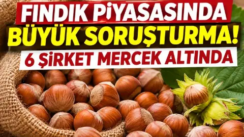 Fındık piyasasında büyük soruşturma! 6 şirket mercek altında