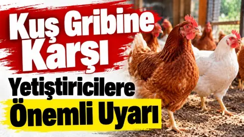 Kuş gribine karşı yetiştiricilere önemli uyarı
