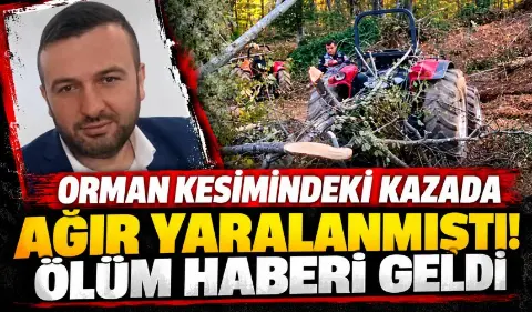 Orman kesiminde ağır yaralanmıştı! 7 gün sonra hayatını kaybetti