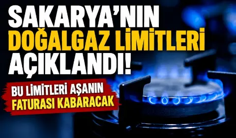 Sakarya'nın doğalgaz limitleri güncellendi! Bu limitleri aşan fazla ödeyecek