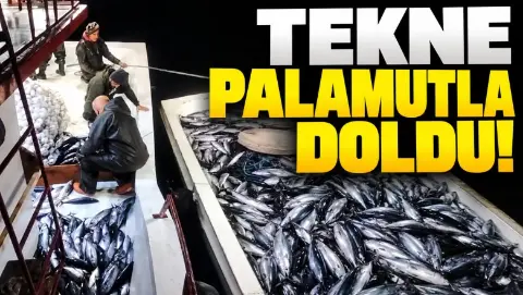 Tekne palamutla doldu