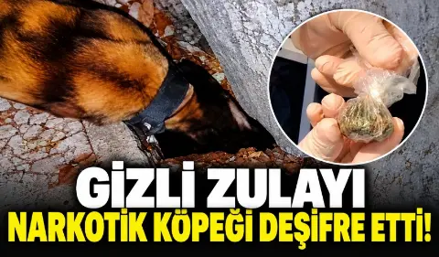 Zulayı narkotik köpeği buldu