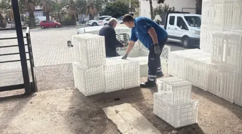 İzmir Büyükşehir Belediyesinden Aliağalı Üreticilere Zeytin Kasası Desteği
