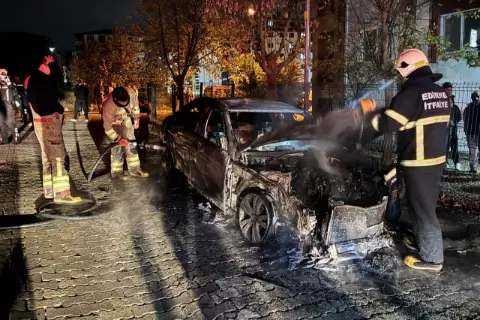 Ganos Dağları'nın Gizli Dünyası Fotokapanlara Yansıdı