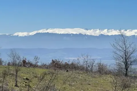 Feci kazada 4 kişi öldü