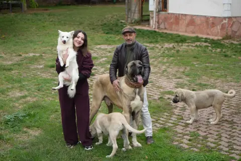 Köpek sevgisi mesleğini değiştirmesine sebep oldu