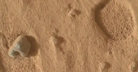 Sahara Çölü'nde bulunan gül rengi göktaşı 4,1 milyar yıllık Mars parçası çıktı