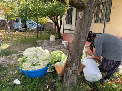 Erciş’te Kış Sofraları İçin Lahana Mesaisi