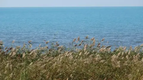 Van’da 2026 yağışları sazlıkları kuraklıktan kurtardı
