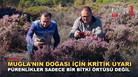 Muğla’nın Doğası İçin Kritik Uyarı: Pürenlikler Sadece Bir Bitki Örtüsü Değil