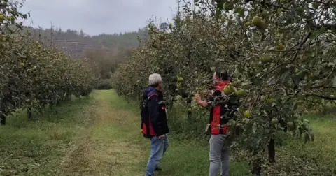 Kozan’da tarım arazilerinde hasar tespiti sürüyor