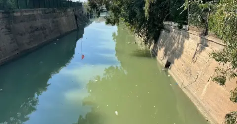 Seyhan Nehri’nde çöp ve yosun birikintileri kokuya neden oldu