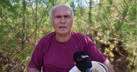Kozan’da kanlıca mantarı bolluğu: Kilosu 300 liradan satılıyor