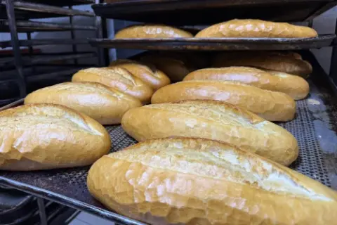 Alanya’da Yörüklerin sahile dönüş yolculuğu başladı