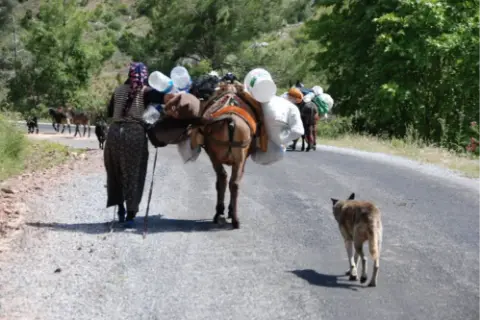 Saimbeyli’de başkandan bisiklet isteyen İclal’in hayali gerçek oldu