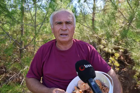 Karaisalı’da zeytin üreticilerine boylama makinesi dağıtıldı
