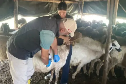 Sarıçam’da gıda güvenliği için 7/24 müdahale
