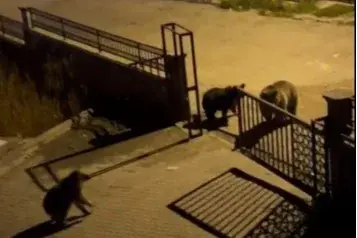 Kozan’da tarım arazilerinde hasar tespiti sürüyor