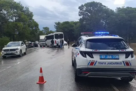 Maçka'da Büyük Kayıp: 184 Koyun Uçurumdan Yuvarlandı