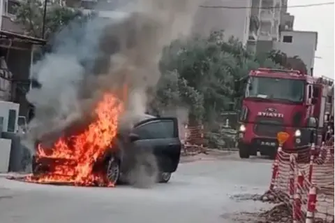 Maçka'da Büyük Kayıp: 184 Koyun Uçurumdan Yuvarlandı