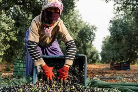 Adana'da 7 İlçeye Kuvvetli Sağanak Uyarısı: Sel ve Hortum Riski