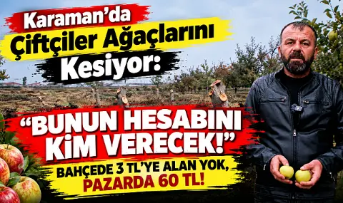 Karaman'da 30 Yıllık Ağaçları Kestiler: Tonlarca Elmayı Yere Döktüler!