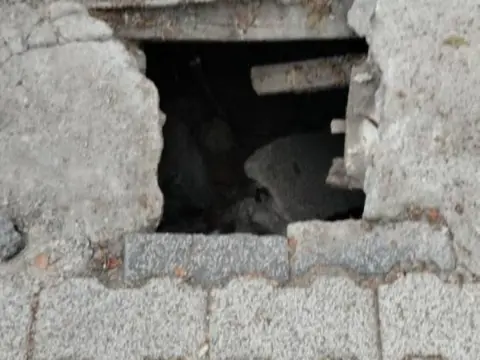 Yenişehir mahallesi'ndeki çukur tehlike oluşturuyor