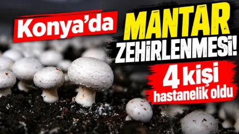 Konya'da mantar zehirlenmesi! 4 kişi hastanelik oldu
