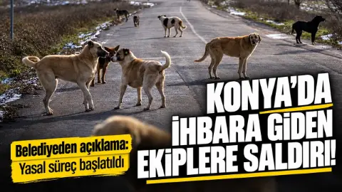 Konya'da ihbara giden ekiplere saldırı! Belediyeden açıklama: Yasal süreç başlatıldı