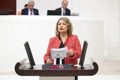 Müzeyyen Şevkin’den narenciye üreticileri için çağrı: “Çiftçi can çekişiyor”