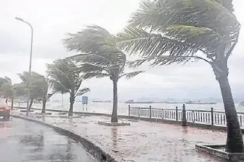 Bandak’ın Kapıdağ Yürüyüşünde Doğaseverler Kestane Topladı