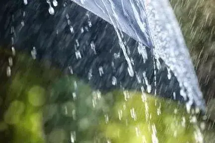 Bandırma’nın Su ürünleri çalışmaları İncelendi
