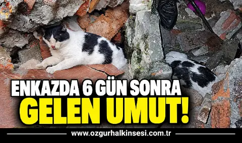 Enkazda 6 Gün Sonra Gelen Umut!