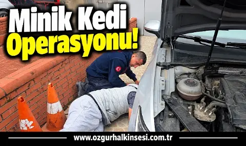 Minik Kedi Operasyonu!