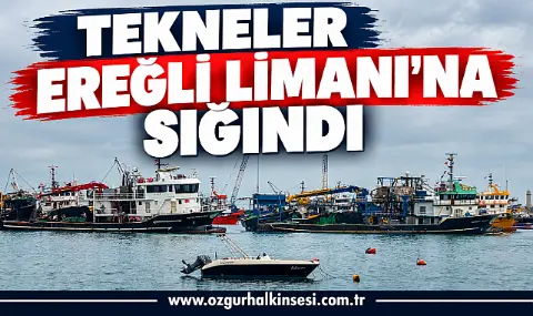 Karadeniz'de Fırtına Alarmı: Balıkçılar Ereğli'ye Sığındı